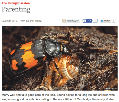 Screen Shot 2015-09-26 at 11.20.51