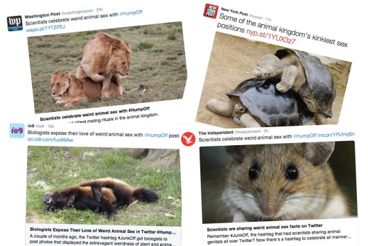 humpoff_media