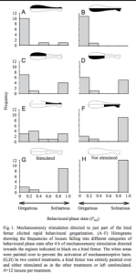 Screen Shot 2015-10-11 at 21.51.07