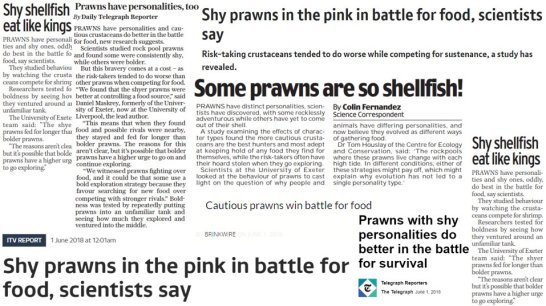 prawn_coverage